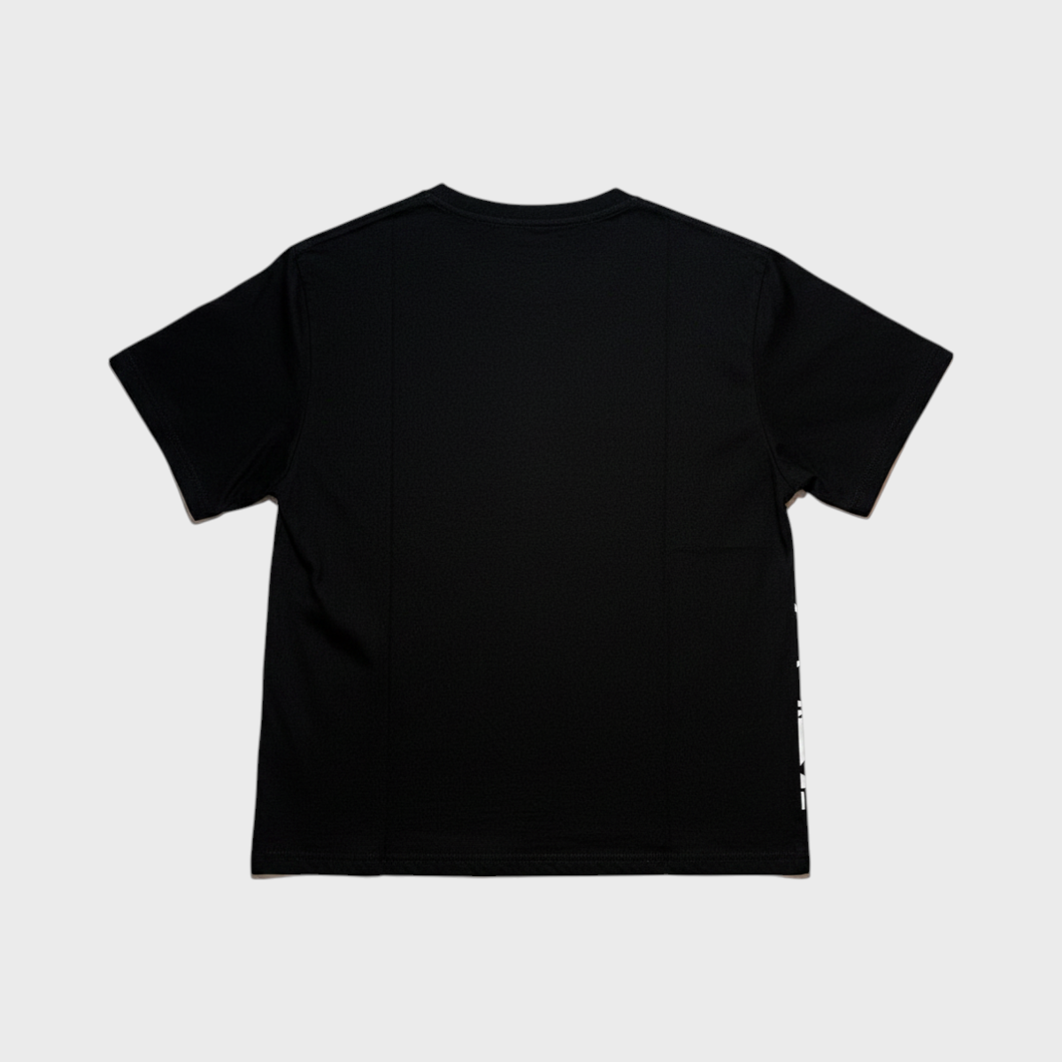 Remera 